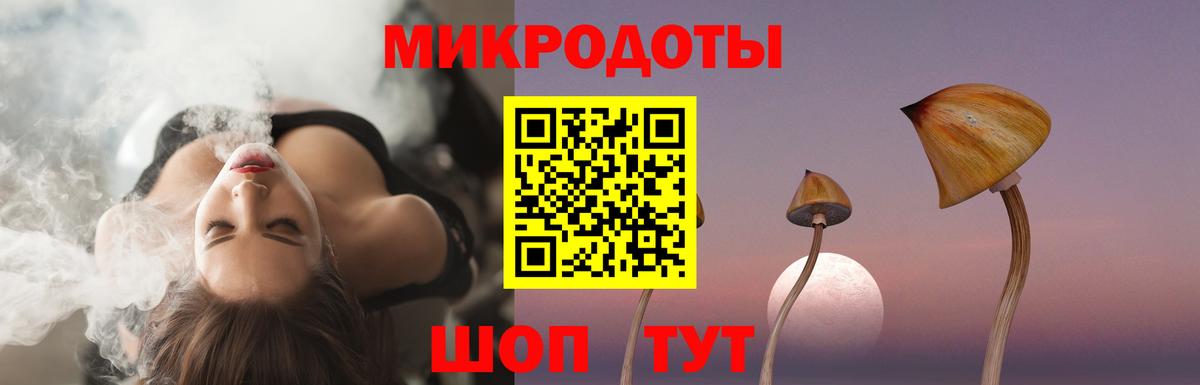 Галлюциногенные грибы Psilocybe  Вход с VPN  Галлюциногенные грибы Psilocybe  Выкса 